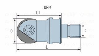 BNM