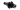 NT