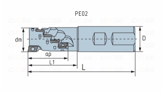 PE02