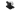 TS