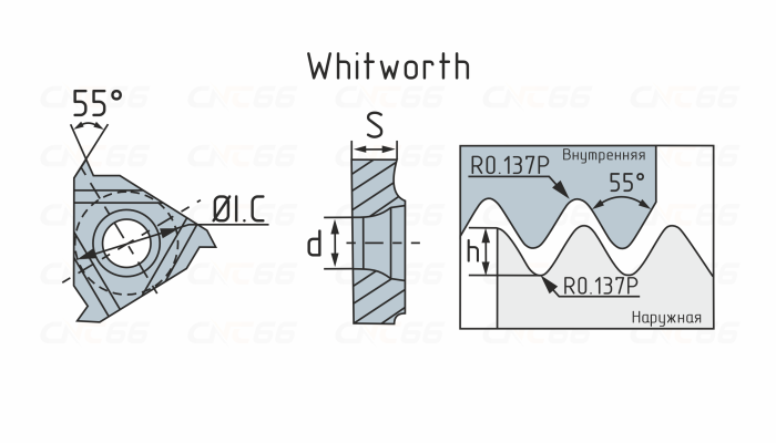 16ER11BSPT-WS5125 Пластина резьбовая