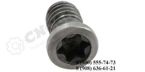 L60M4x8 Винт для зажима винтом S - пласт. CC09, DC11T3, VC16, VB16, SC09T3, TC16T3, WC08