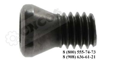 L60M4x8 Винт для зажима винтом S - пласт. CC09, DC11T3, VC16, VB16, SC09T3, TC16T3, WC08