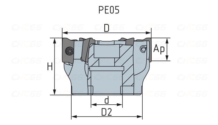 PE05.17B32.100.08 Фреза торцевая насадная
