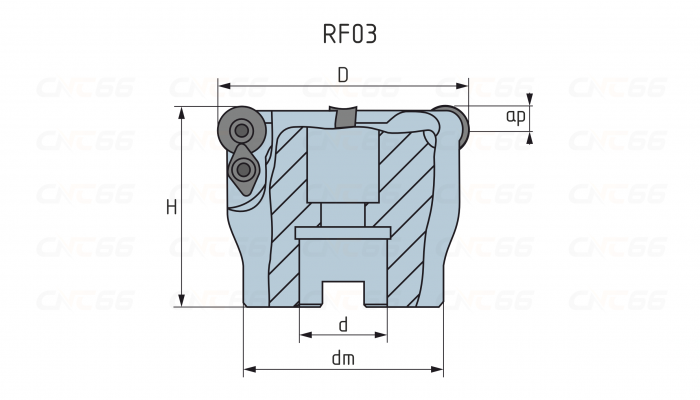 RF03.12A22.063.05 Фреза торцевая насадная