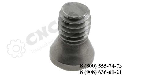 L60M4x8 Винт для зажима винтом S - пласт. CC09, DC11T3, VC16, VB16, SC09T3, TC16T3, WC08