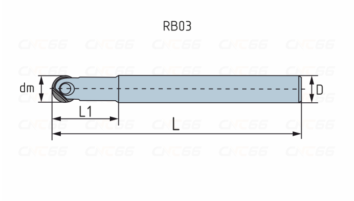 RB03.25Z25.025.M Фреза концевая
