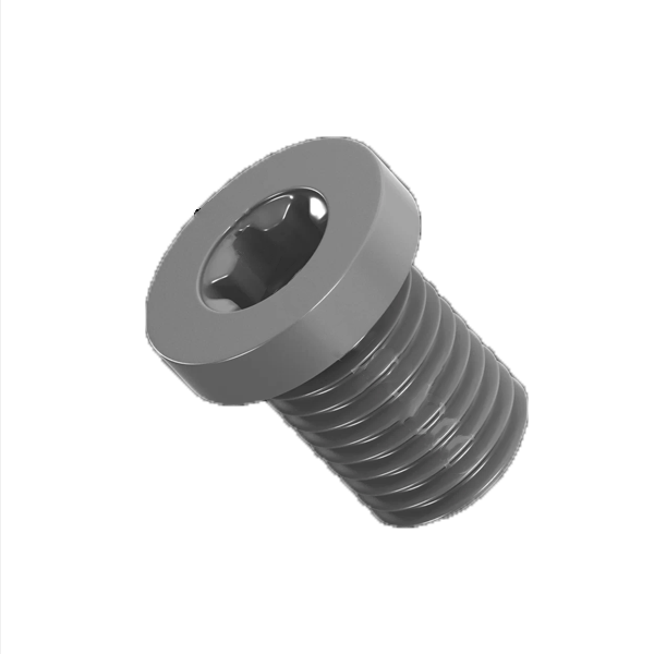 DSP0814 Винт подкладной пластины